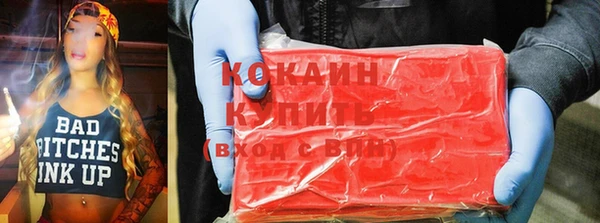 стаф Аркадак