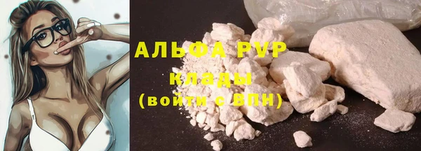 стаф Аркадак