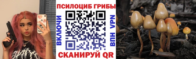 Галлюциногенные грибы прущие грибы  Бежецк 