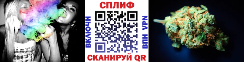 где найти наркотики Бежецк Конопля MAZAR